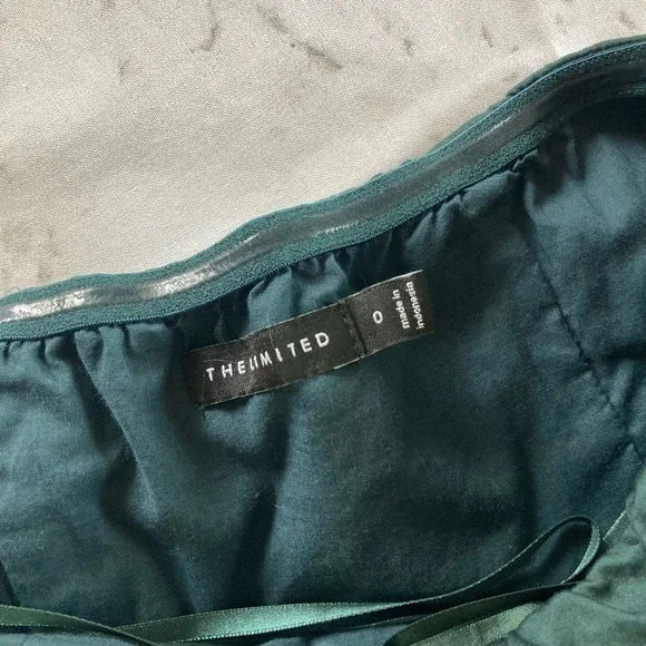 The Limited strapless fit and flare dress - Picture 9 of 10